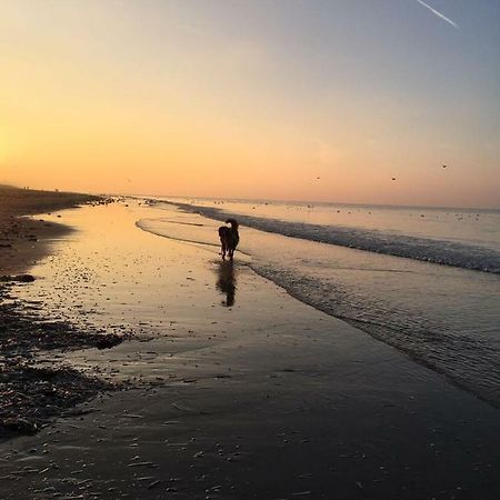 Au Gre Du Vent Appartement Koksijde Buitenkant foto